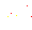 etoile-blanche-5.gif